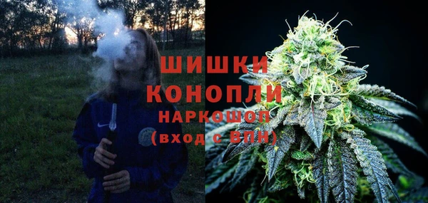 трава Армянск