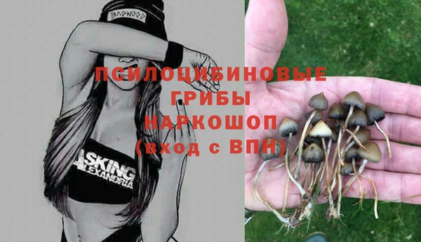 ALPHA-PVP Арсеньев